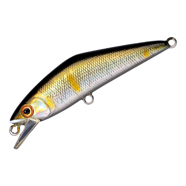 Ｄ－コンタクト　６３(＃１４　アユ)